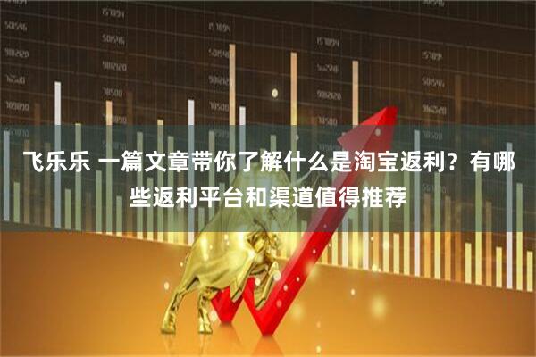 飞乐乐 一篇文章带你了解什么是淘宝返利？有哪些返利平台和渠道值得推荐