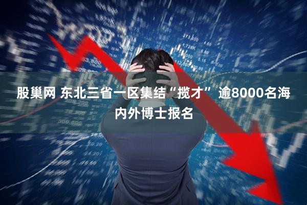 股巢网 东北三省一区集结“揽才” 逾8000名海内外博士报名
