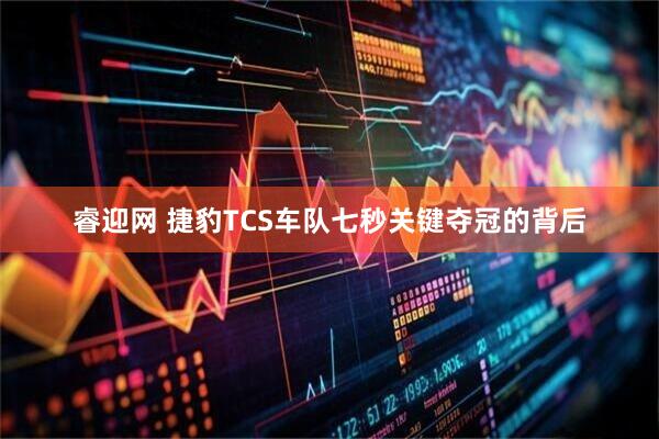 睿迎网 捷豹TCS车队七秒关键夺冠的背后