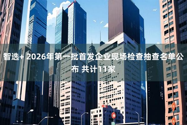 智选+ 2026年第一批首发企业现场检查抽查名单公布 共计11家