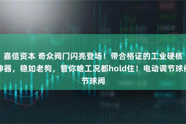 嘉信资本 奇众阀门闪亮登场！带合格证的工业硬核神器，稳如老狗，管你啥工况都hold住！电动调节球阀
