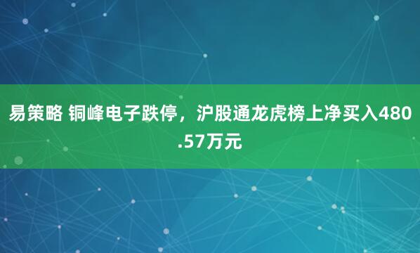 易策略 铜峰电子跌停，沪股通龙虎榜上净买入480.57万元
